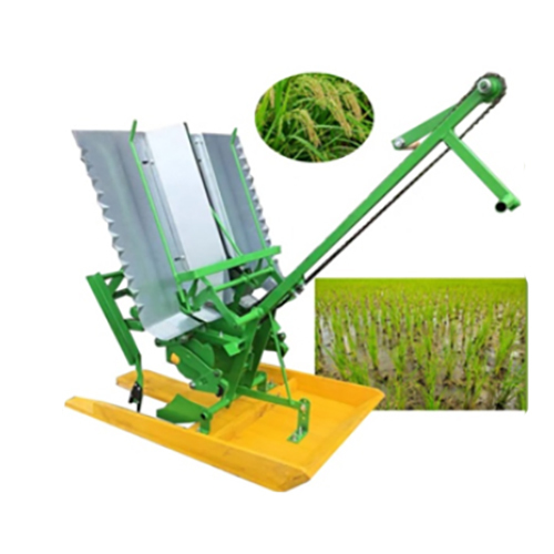 Rice Transplanter Machine - Engine Type: Air Cooled