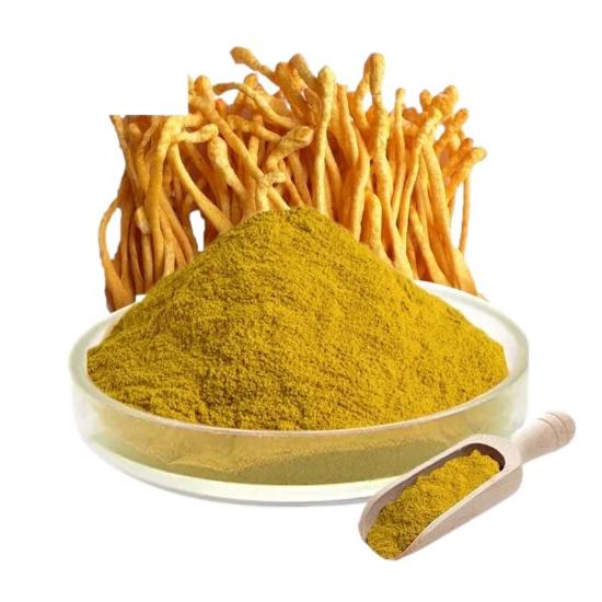 Caterpillar fungus Extract