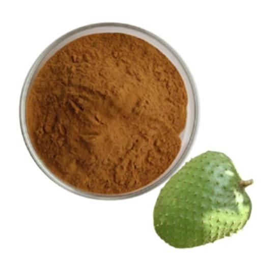 Graviola Extract Powder - Grade: Pharma & Food Grade