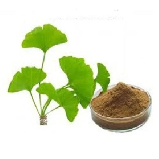 Ginkgo Biloba Extract