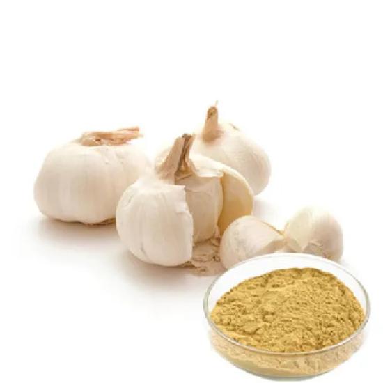 Garlic Powder Extract