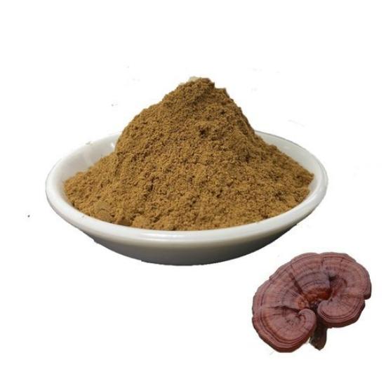 Reishi Mushroom Extract