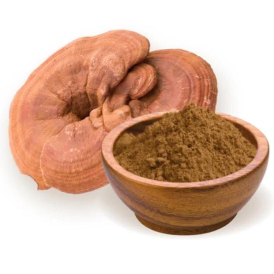 Reishi Mushroom Extract