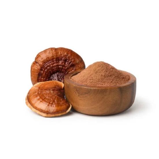 Ganoderma Lucidum Extract