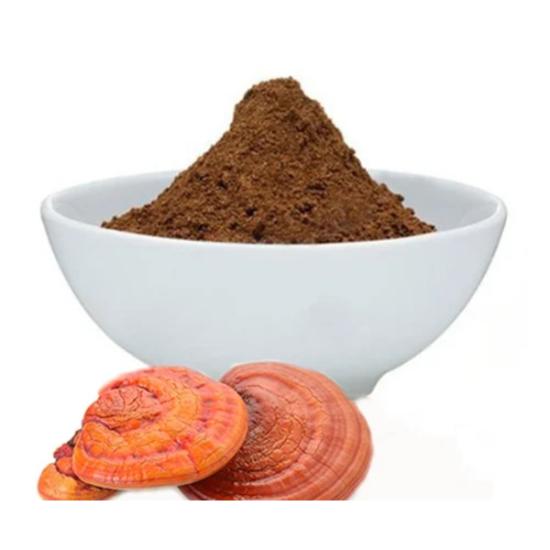 Ganoderma Lucidum Extract