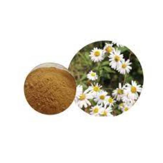 Feverfew Extract - Grade: Pharma & Food Grade