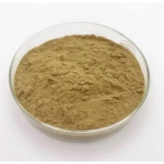 Eup-horbia Prostrata Extract - Grade: Pharma & Food Grade