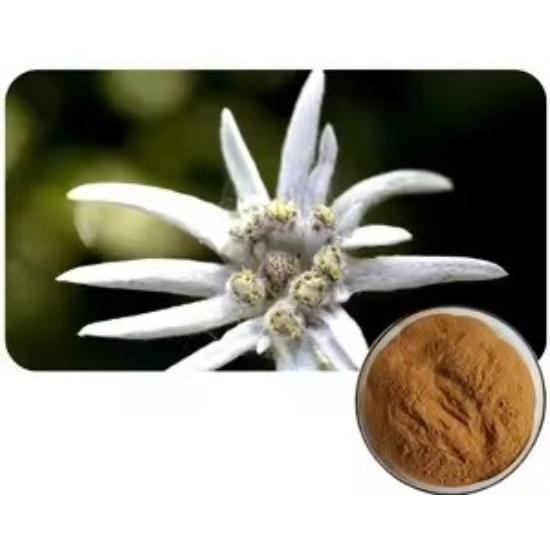 Edelweiss Extract ( Leontopodium Alpinum Extract ) - Purity(%): 100%