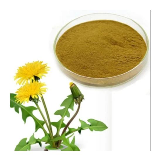Dandelion Leaf Extract - Grade: Pharma & Food Grade