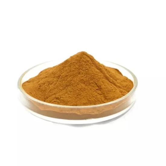 Curly Dock Extract - Grade: Pharma & Food Grade