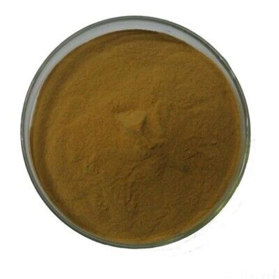 Curly Dock Extract - Grade: Pharma & Food Grade