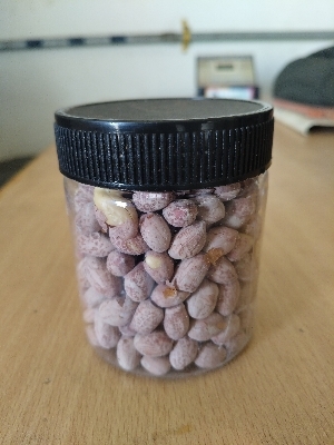 ROASTED SALTED PENUT
