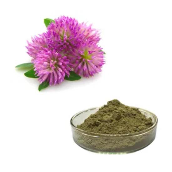 Trifolium Pratense Flower Extract