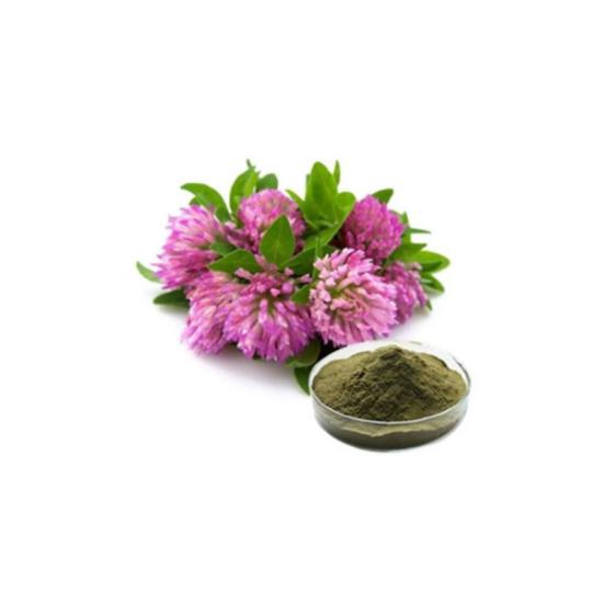 Trifolium Pratense Flower Extract - Color: Brown