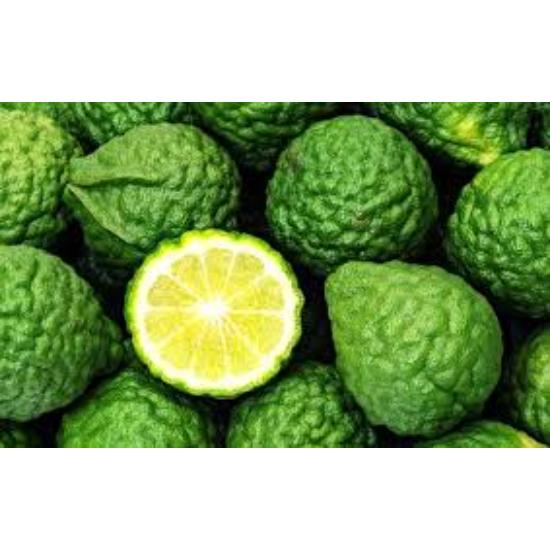 Citrus Bergamia Extract - Grade: Pharma & Food Grade
