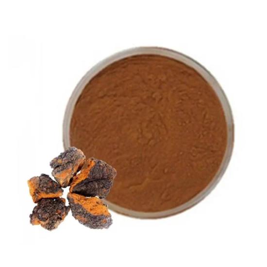 Chaga Mushroom Extract (Inonotus Obliquus)