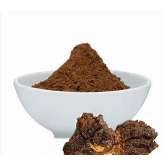 Chaga Mushroom Extract (Inonotus Obliquus)