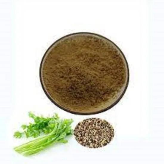 Ajmoda Extract - Apium Graveolens Extract, 1% Ligustilides For Food, Pharma And Cosmetic Applications | Customizable Assay Ratios And Testing Methods (Titration, Uv, Hplc)