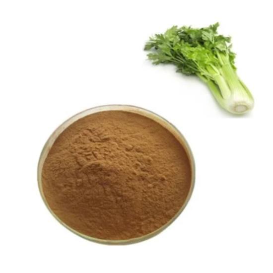 Ajmoda Extract - Apium Graveolens Extract, 1% Ligustilides For Food, Pharma And Cosmetic Applications | Customizable Assay Ratios And Testing Methods (Titration, Uv, Hplc)