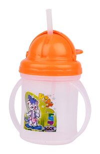 Fruity Cup Sipper