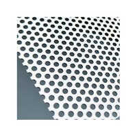 321 Ss Perforated Sheet - Stainless Steel, Silver Color, Hot Rolled Technique, Polished Surface Treatment | Ideal for Industrial Applications