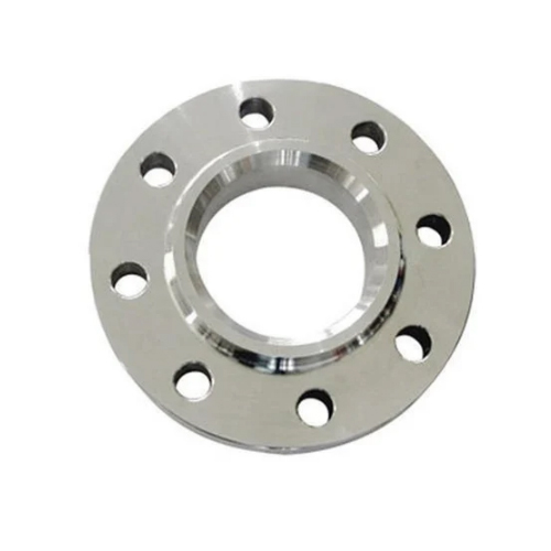 SS 309 Flanges