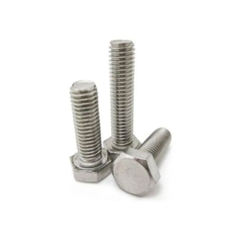 Stainless Steel Hex Bolt