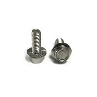 Stainless Steel Flange Bolt