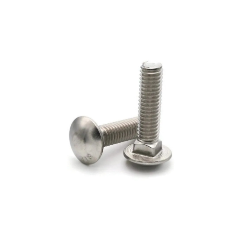 Stainless Steel Carriage Bolt - Color: Silver