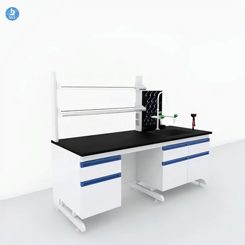 Wall Bench With Rr, Sink, Peg Board - Application: Laboratory