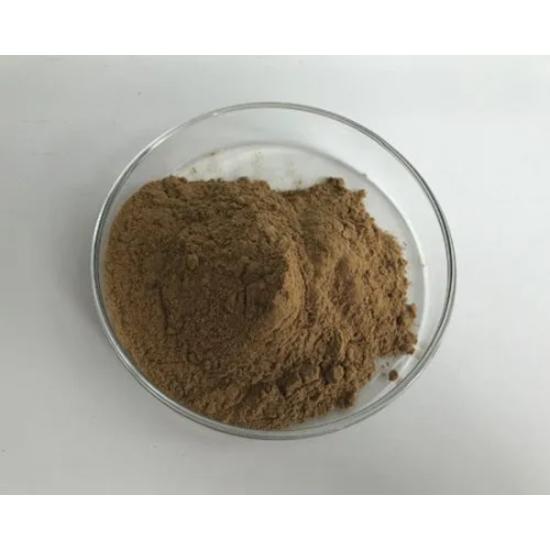 Butterbur Extract (Petasites hybridus..) 