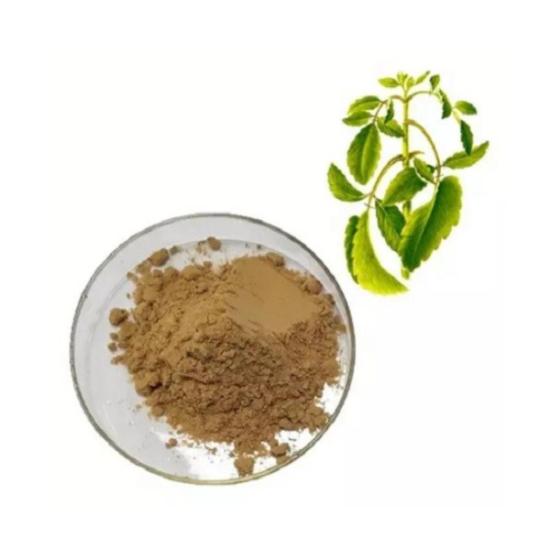Bryophyllum pinnatum Leaf Extracts