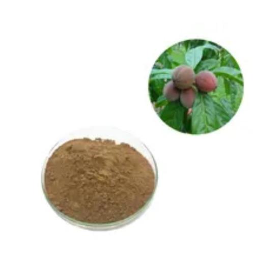 Blushwood Berry Extract