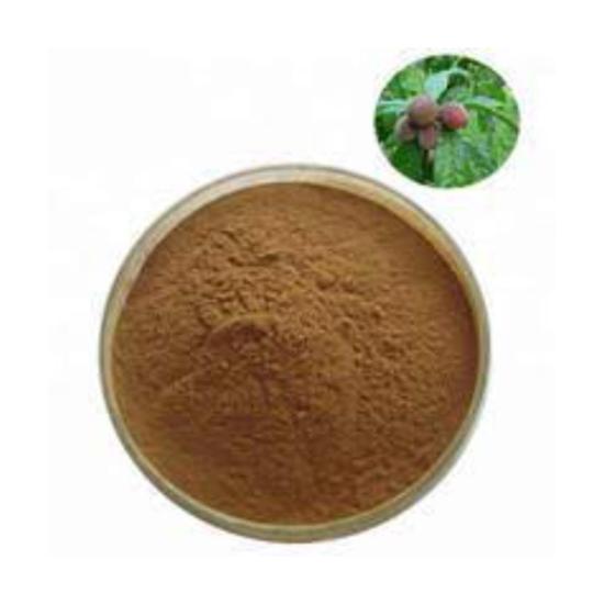 Blushwood Berry Extract