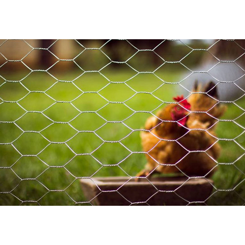 High Quality Hexagonal Wire Mesh - Material: Stainless Steel