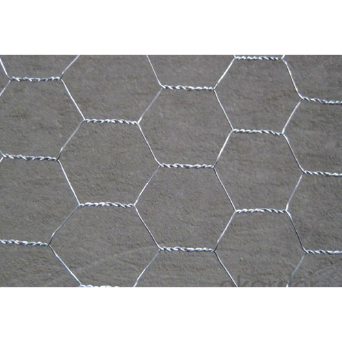 Hexagonal Wire Mesh