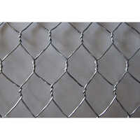 SS Hexagonal Wire Mesh