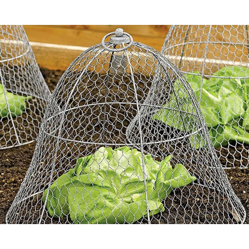 Ss Hexagonal Wire Mesh - Stainless Steel Galvanized Treatment | Durable Knitted Wire Mesh With Corrosion Resistance For Agriculture Mining And More
