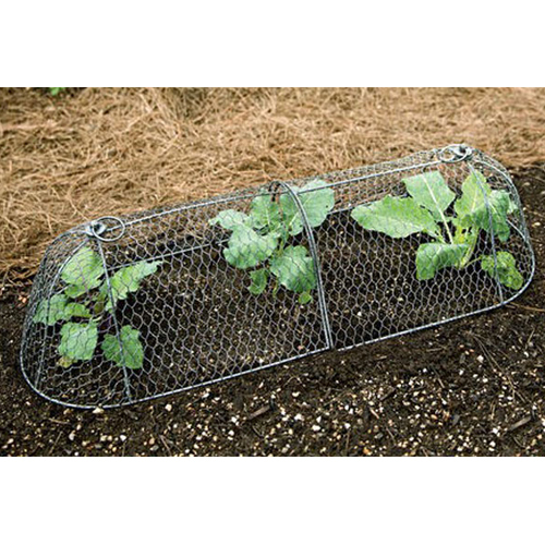 Ss Wire Mesh - Hole Shape: Square Hole