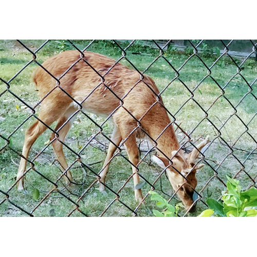 Ss Chainlink Fence - Application: Sports Field