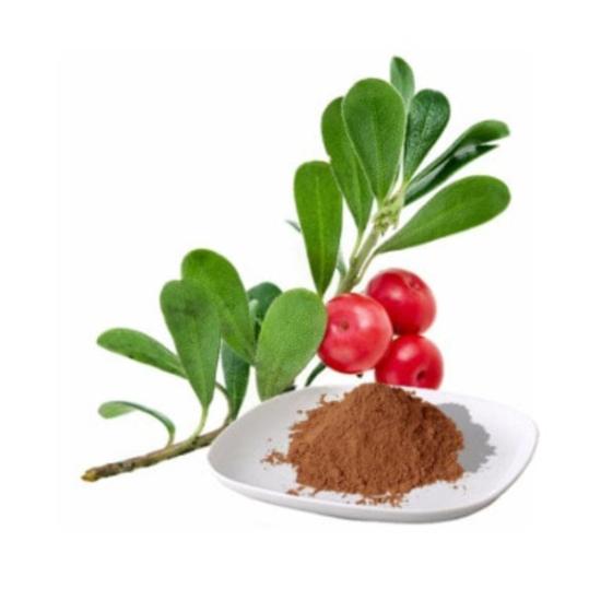Bearberry Extract ( Arctostaphylos Extract ) 