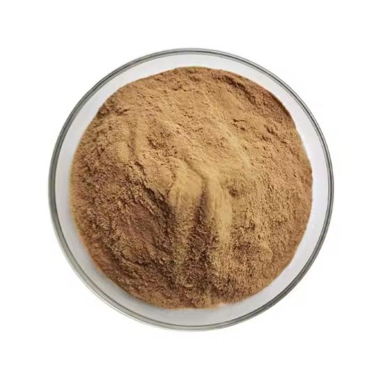 Barberry Extract (Berberis vulgaris)