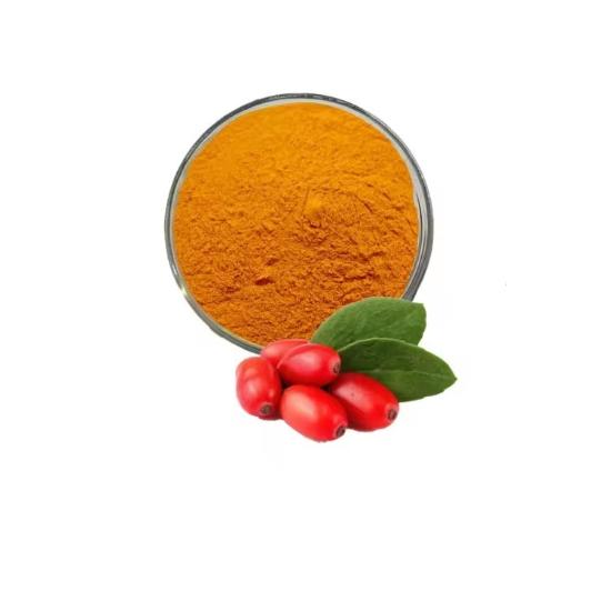 Barberry Extract (Berberis vulgaris)