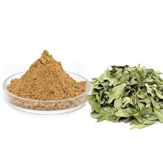Apocynum Venetum Extract - Grade: Pharma & Food Grade