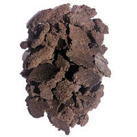 Castor Oil Cake - Organic Granular Fertilizer | Natural Npk Blend, Promotes Healthy Growth And Soil Quality, 50 Kg Bag