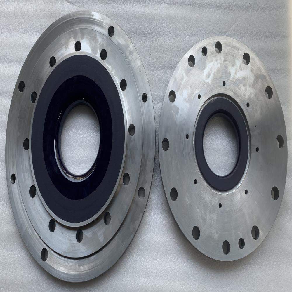 Glass Lined Flanges