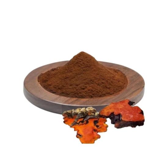 Antrodia Mushroom Extract (Antrodia camphorata)