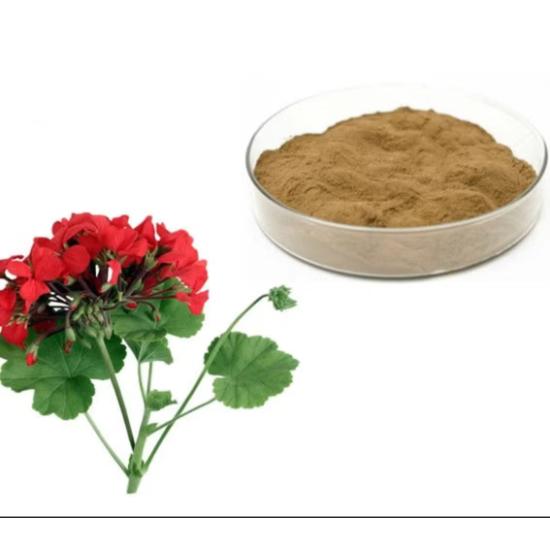 Geranium Extract - Purity(%): 100%