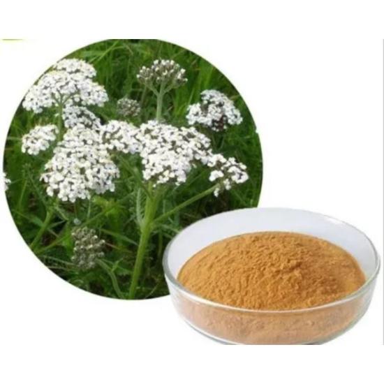 Yarrow Extract  (Achillea millefolium)  