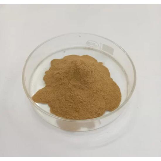 Vidhara Extract ( Argyreia nervasa Extract )